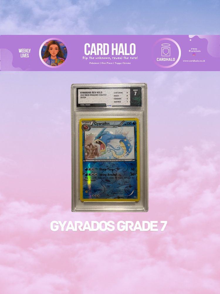 Gyarados - Dragons Exalted - Grade 7 - TFG